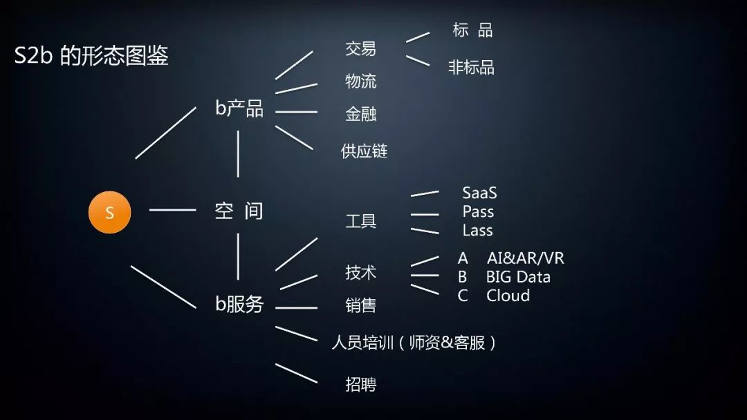 S2b的形态图鉴