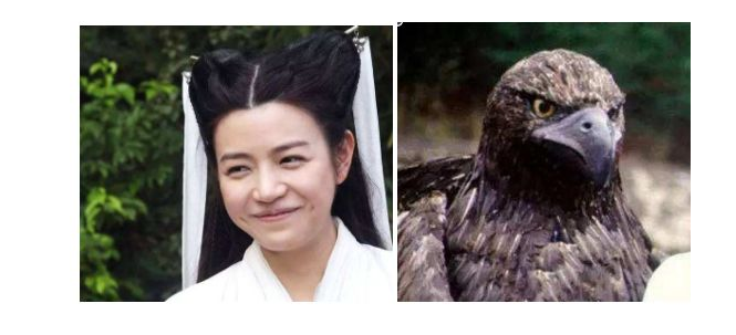 1573206230481575.png 【热点双11】双11魔幻套路大赏 你的时间非常值钱?